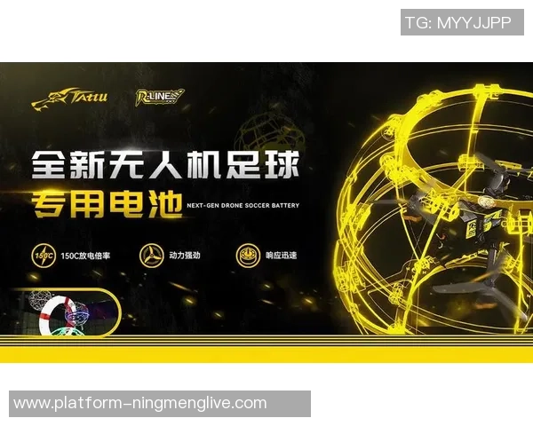 足球元素打印技术的创新应用与未来发展趋势探讨